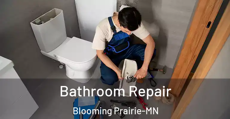 inner Bathroom imggen Bathroom Repair Blooming Prairie-MN