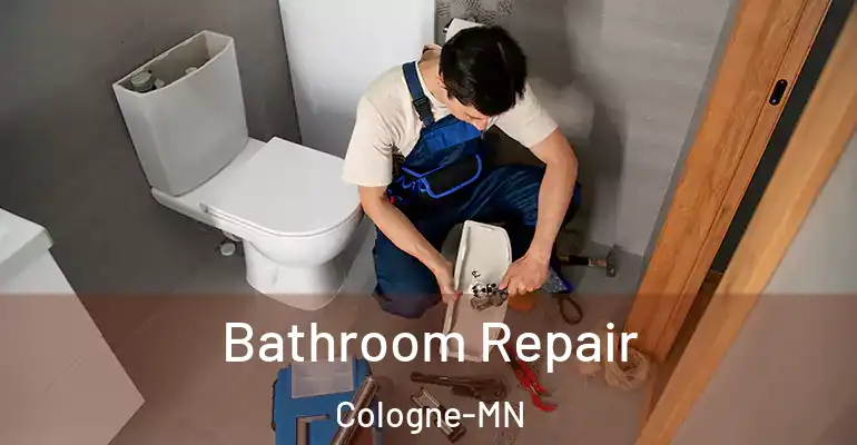 inner Bathroom imggen Bathroom Repair Cologne-MN