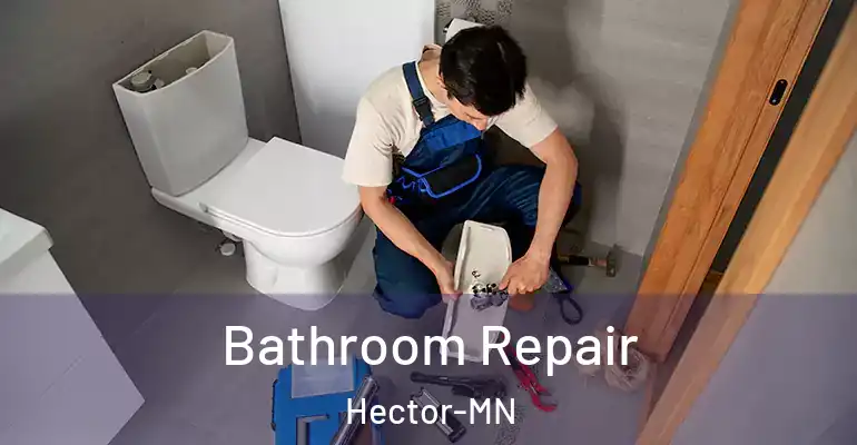 inner Bathroom imggen Bathroom Repair Hector-MN