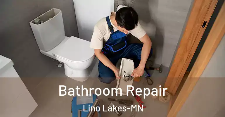 inner Bathroom imggen Bathroom Repair Lino Lakes-MN
