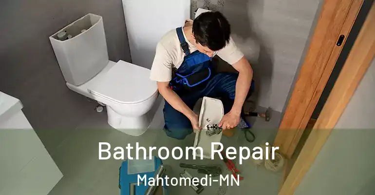 inner Bathroom imggen Bathroom Repair Mahtomedi-MN
