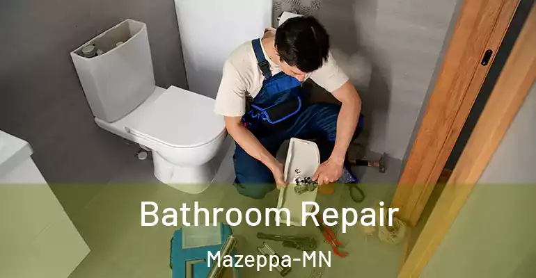 inner Bathroom imggen Bathroom Repair Mazeppa-MN