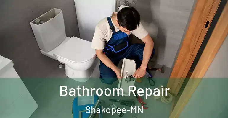 inner Bathroom imggen Bathroom Repair Shakopee-MN