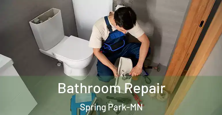 inner Bathroom imggen Bathroom Repair Spring Park-MN