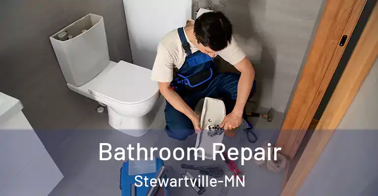inner Bathroom imggen Bathroom Repair Stewartville-MN
