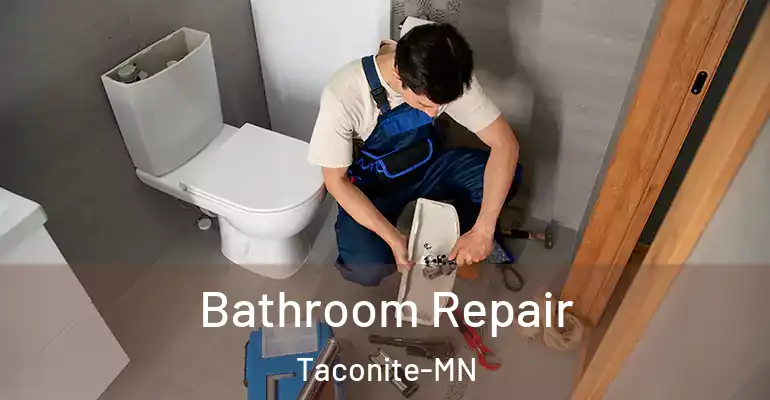inner Bathroom imggen Bathroom Repair Taconite-MN