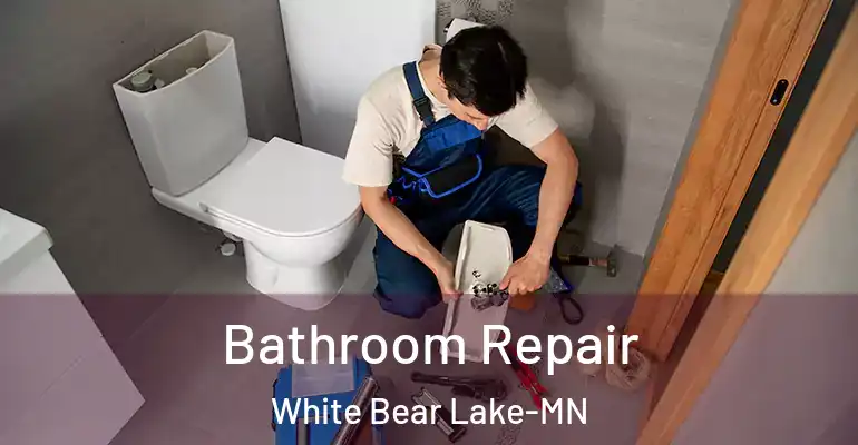 inner Bathroom imggen Bathroom Repair White Bear Lake-MN