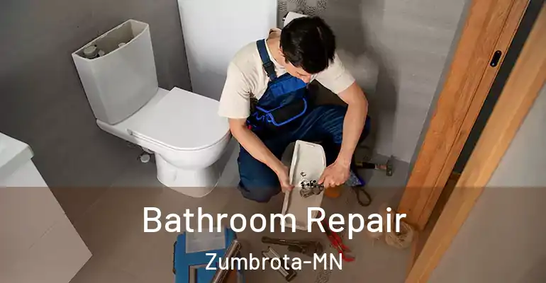 inner Bathroom imggen Bathroom Repair Zumbrota-MN