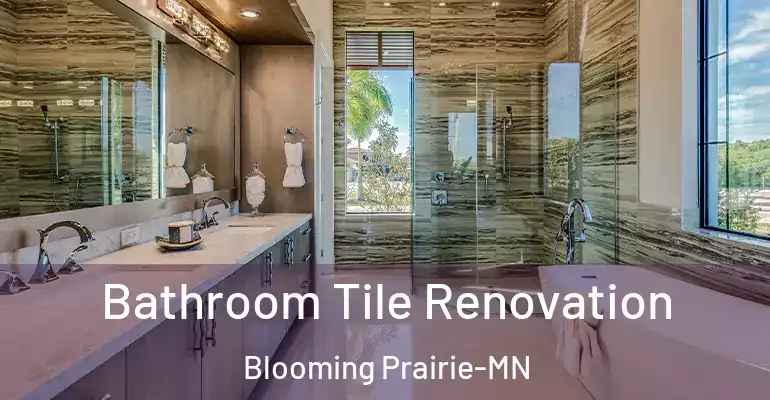 inner Bathroom imggen Bathroom Tile Renovation Blooming Prairie-MN