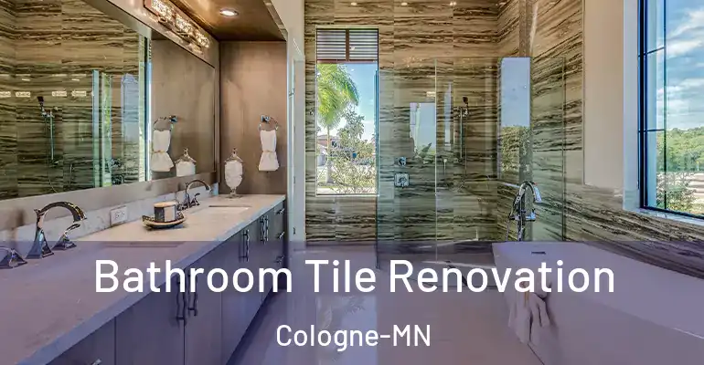 inner Bathroom imggen Bathroom Tile Renovation Cologne-MN