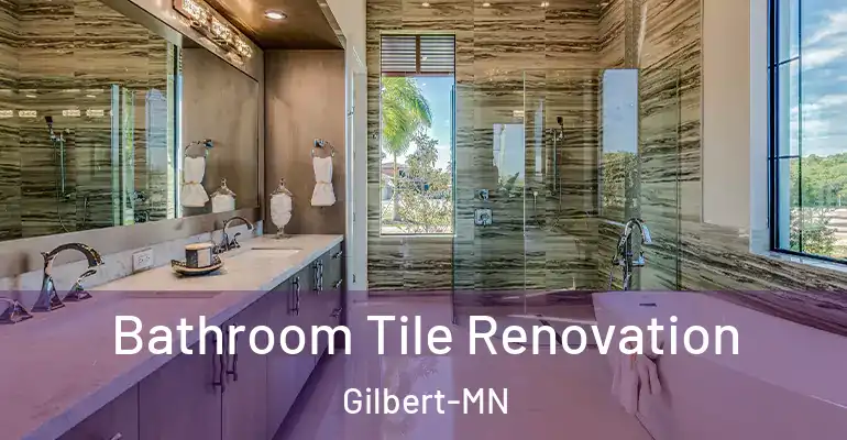 inner Bathroom imggen Bathroom Tile Renovation Gilbert-MN