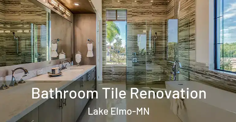 inner Bathroom imggen Bathroom Tile Renovation Lake Elmo-MN
