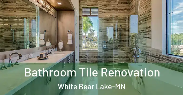 inner Bathroom imggen Bathroom Tile Renovation White Bear Lake-MN