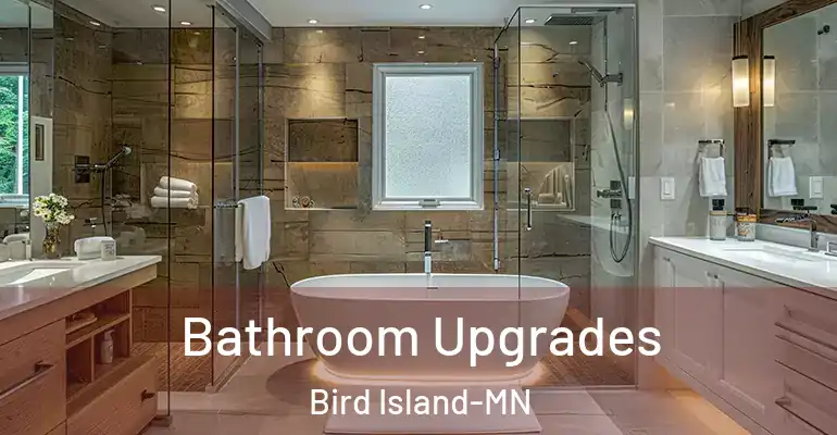inner Bathroom imggen Bathroom Upgrades Bird Island-MN