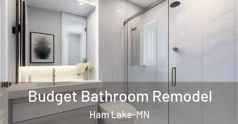 inner Bathroom imggen Budget Bathroom Remodel Ham Lake-MN