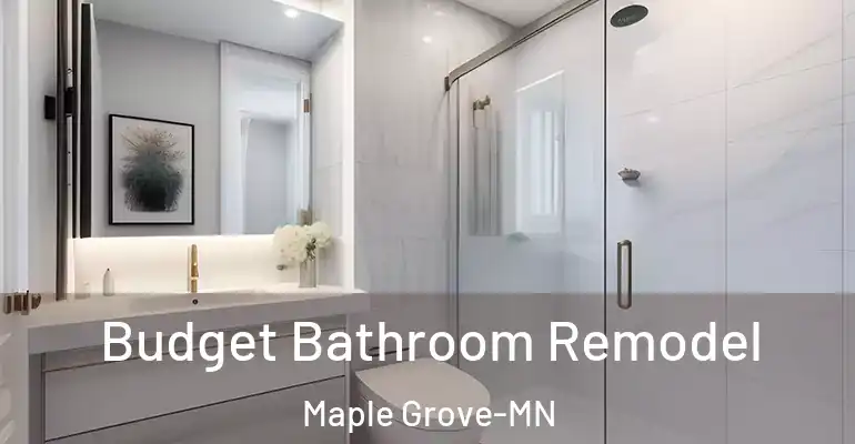 inner Bathroom imggen Budget Bathroom Remodel Maple Grove-MN
