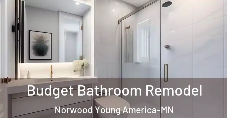 inner Bathroom imggen Budget Bathroom Remodel Norwood Young America-MN