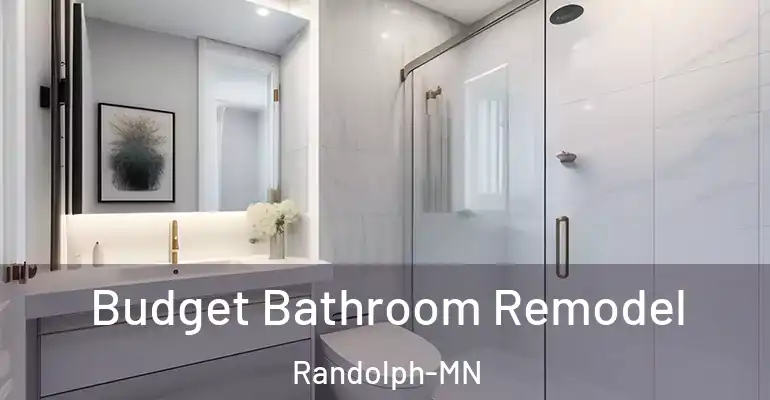 inner Bathroom imggen Budget Bathroom Remodel Randolph-MN