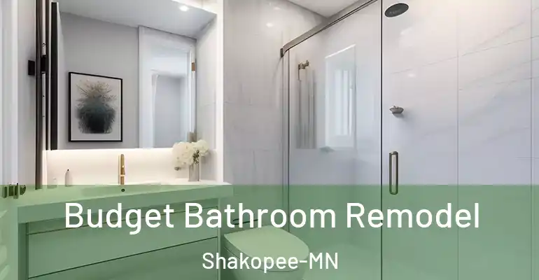 inner Bathroom imggen Budget Bathroom Remodel Shakopee-MN