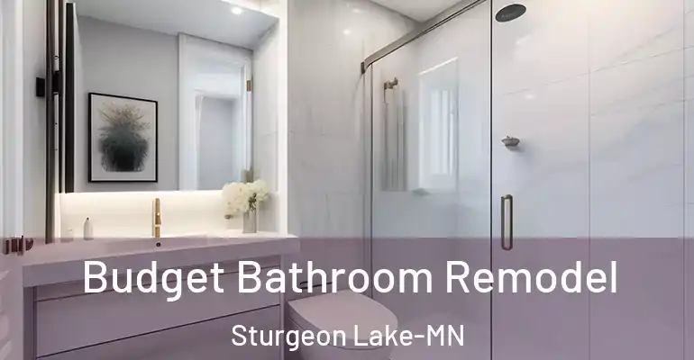 inner Bathroom imggen Budget Bathroom Remodel Sturgeon Lake-MN
