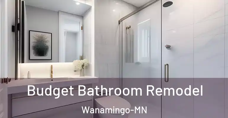 inner Bathroom imggen Budget Bathroom Remodel Wanamingo-MN