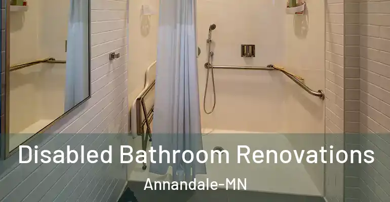 inner Bathroom imggen Disabled Bathroom Renovations Annandale-MN