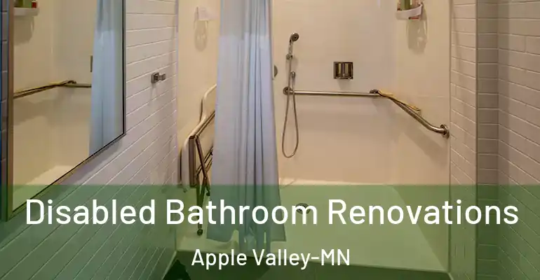 inner Bathroom imggen Disabled Bathroom Renovations Apple Valley-MN