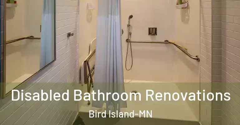 inner Bathroom imggen Disabled Bathroom Renovations Bird Island-MN