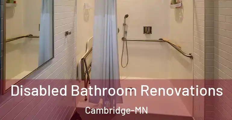inner Bathroom imggen Disabled Bathroom Renovations Cambridge-MN