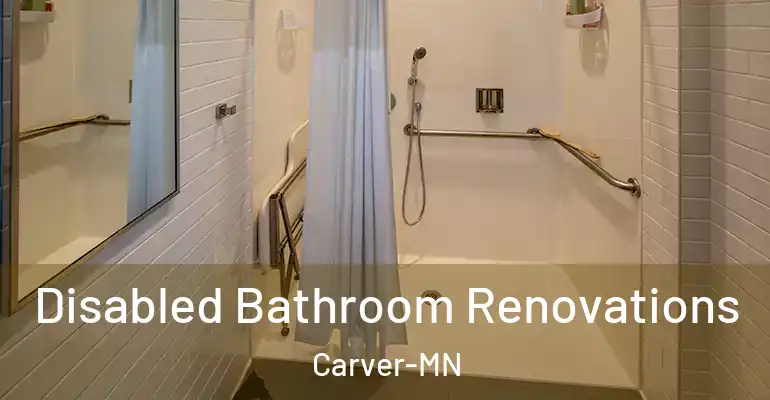 inner Bathroom imggen Disabled Bathroom Renovations Carver-MN