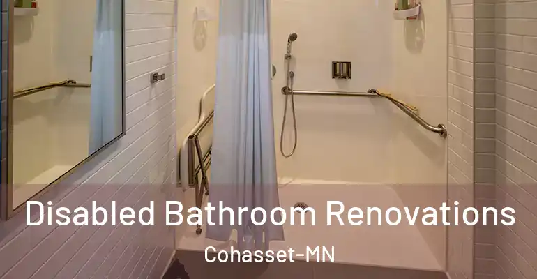 inner Bathroom imggen Disabled Bathroom Renovations Cohasset-MN