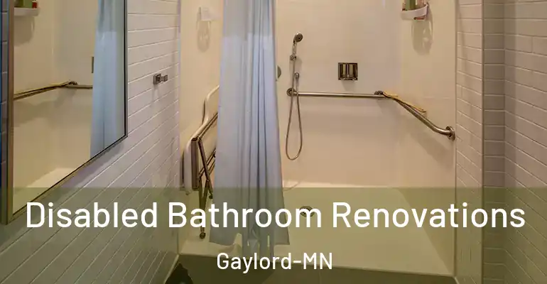 inner Bathroom imggen Disabled Bathroom Renovations Gaylord-MN