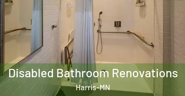 inner Bathroom imggen Disabled Bathroom Renovations Harris-MN