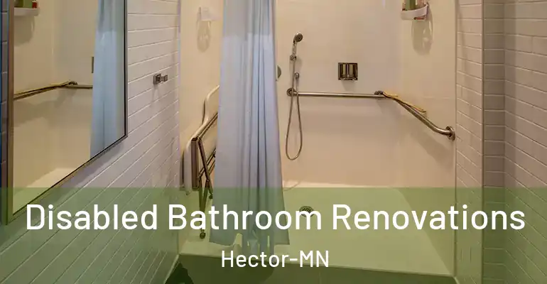 inner Bathroom imggen Disabled Bathroom Renovations Hector-MN