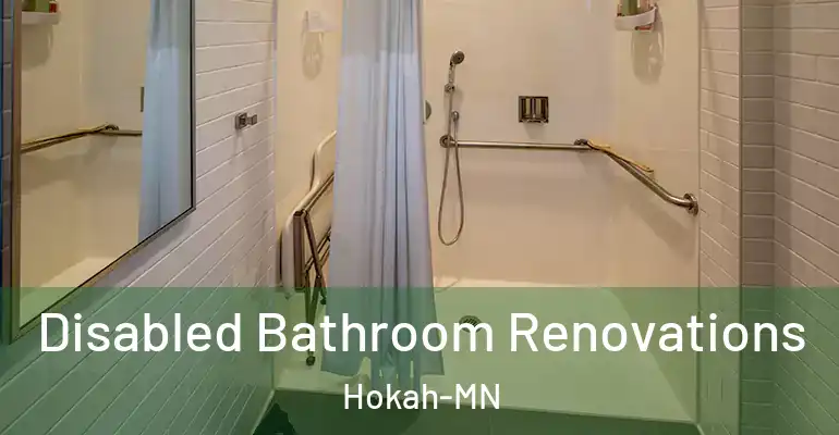 inner Bathroom imggen Disabled Bathroom Renovations Hokah-MN