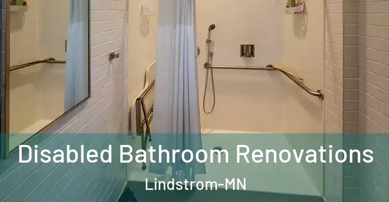 inner Bathroom imggen Disabled Bathroom Renovations Lindstrom-MN