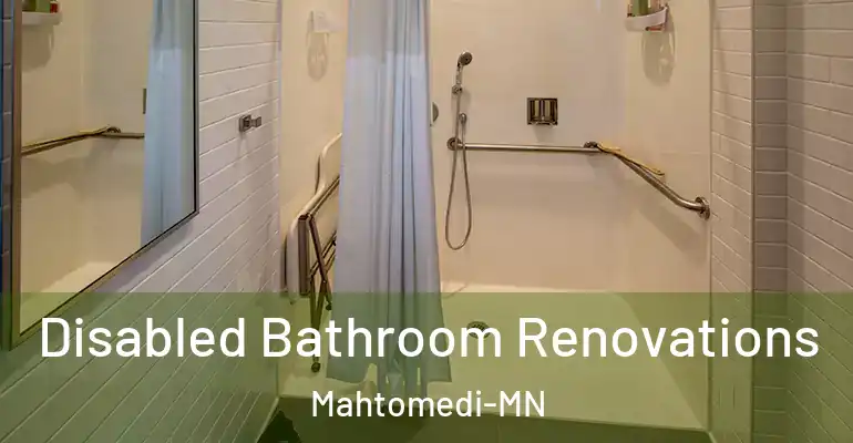 inner Bathroom imggen Disabled Bathroom Renovations Mahtomedi-MN