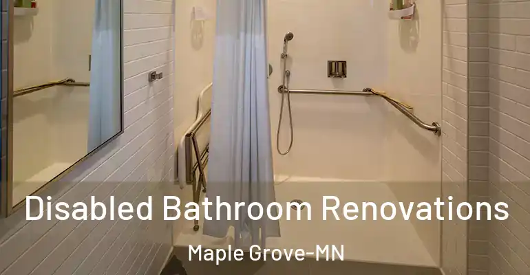 inner Bathroom imggen Disabled Bathroom Renovations Maple Grove-MN