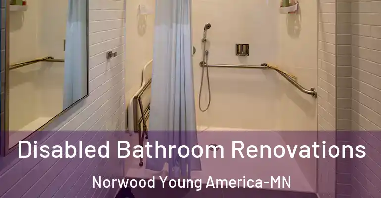 inner Bathroom imggen Disabled Bathroom Renovations Norwood Young America-MN