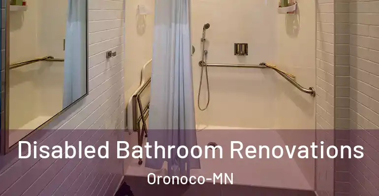 inner Bathroom imggen Disabled Bathroom Renovations Oronoco-MN