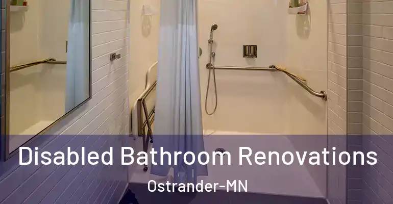 inner Bathroom imggen Disabled Bathroom Renovations Ostrander-MN