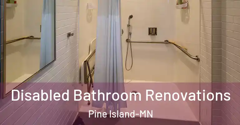 inner Bathroom imggen Disabled Bathroom Renovations Pine Island-MN