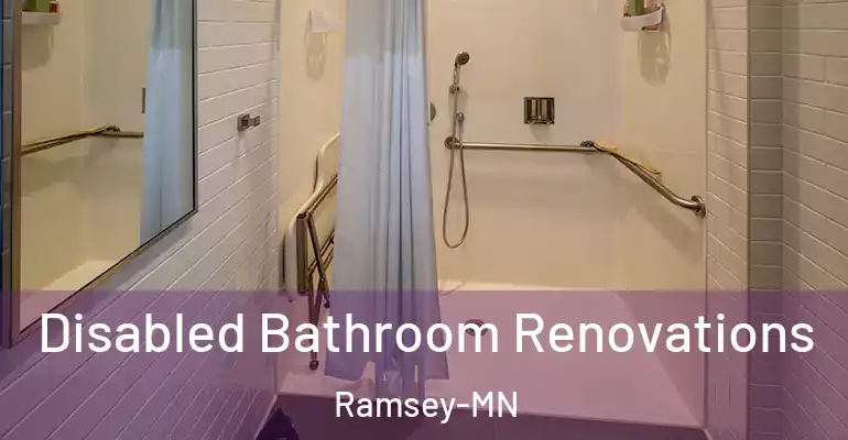 inner Bathroom imggen Disabled Bathroom Renovations Ramsey-MN