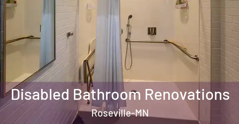 inner Bathroom imggen Disabled Bathroom Renovations Roseville-MN