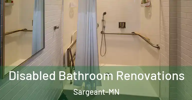 inner Bathroom imggen Disabled Bathroom Renovations Sargeant-MN