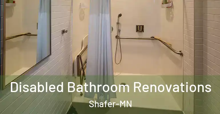 inner Bathroom imggen Disabled Bathroom Renovations Shafer-MN