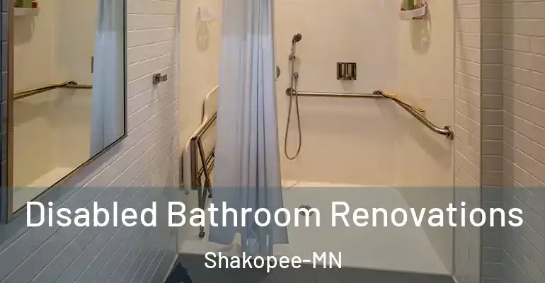 inner Bathroom imggen Disabled Bathroom Renovations Shakopee-MN