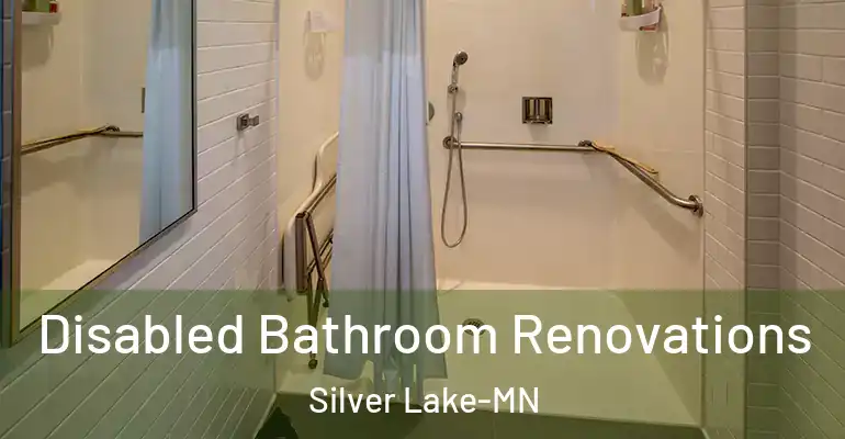 inner Bathroom imggen Disabled Bathroom Renovations Silver Lake-MN