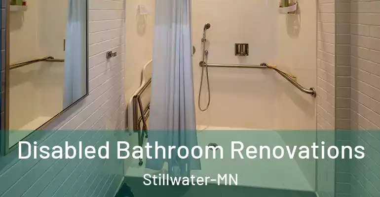 inner Bathroom imggen Disabled Bathroom Renovations Stillwater-MN