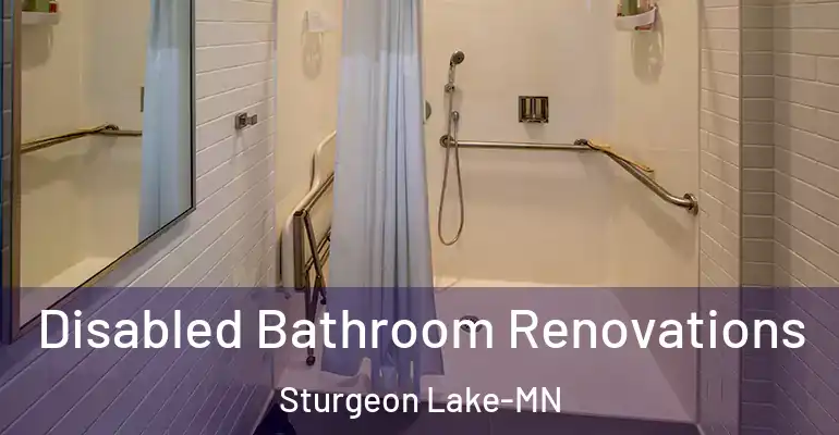 inner Bathroom imggen Disabled Bathroom Renovations Sturgeon Lake-MN